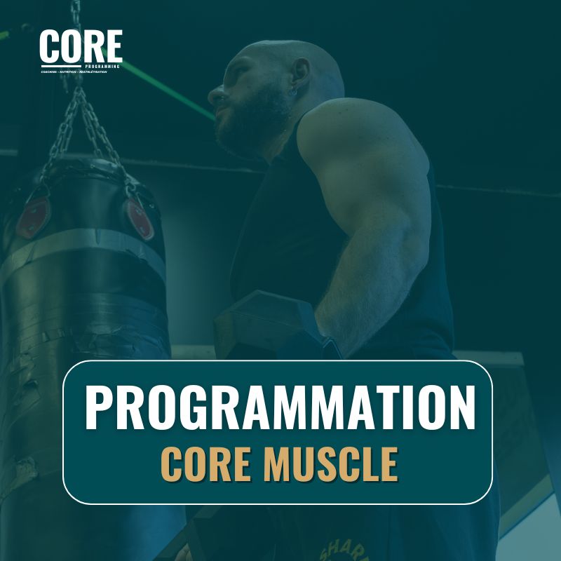 PROGRAMMATION - CORE MUSCLE
